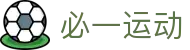 必一·运动(B-Sports)官方网站